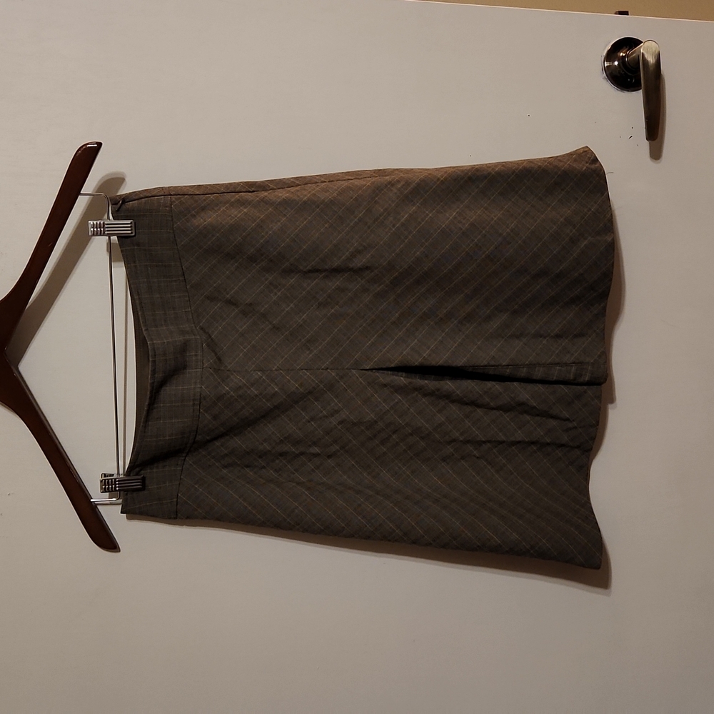The Limited skirt